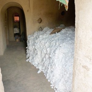 Stockage de coton