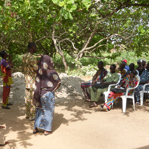 Awareness of farmer's group in Benin